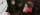 Bild vergrern