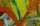 Bild vergrern