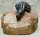 Bild vergr��ern