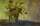 Bild vergrern