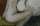 Bild vergrern