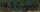 Bild vergrern