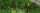 Bild vergr��ern