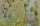 Bild vergrern